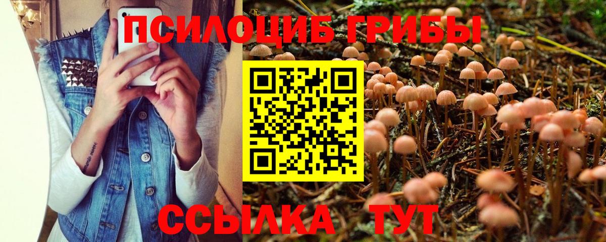 Ликино-Дулёво  Галлюциногенные грибы Cubensis  Галлюциногенные грибы GOLDEN TEACHER  Вход с VPN 